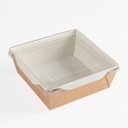 Коробка для салата ECO OpSALAD 1200 165*165*65 мм